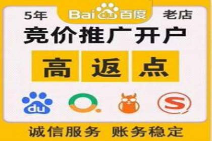 某电商平台的SEM投放全流程案例
